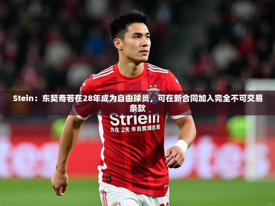 2025九游娱乐app赞助了不莱梅Stein:东契奇若在28年成为自由球员,可在新合同加入完全不可交易条款 第3张