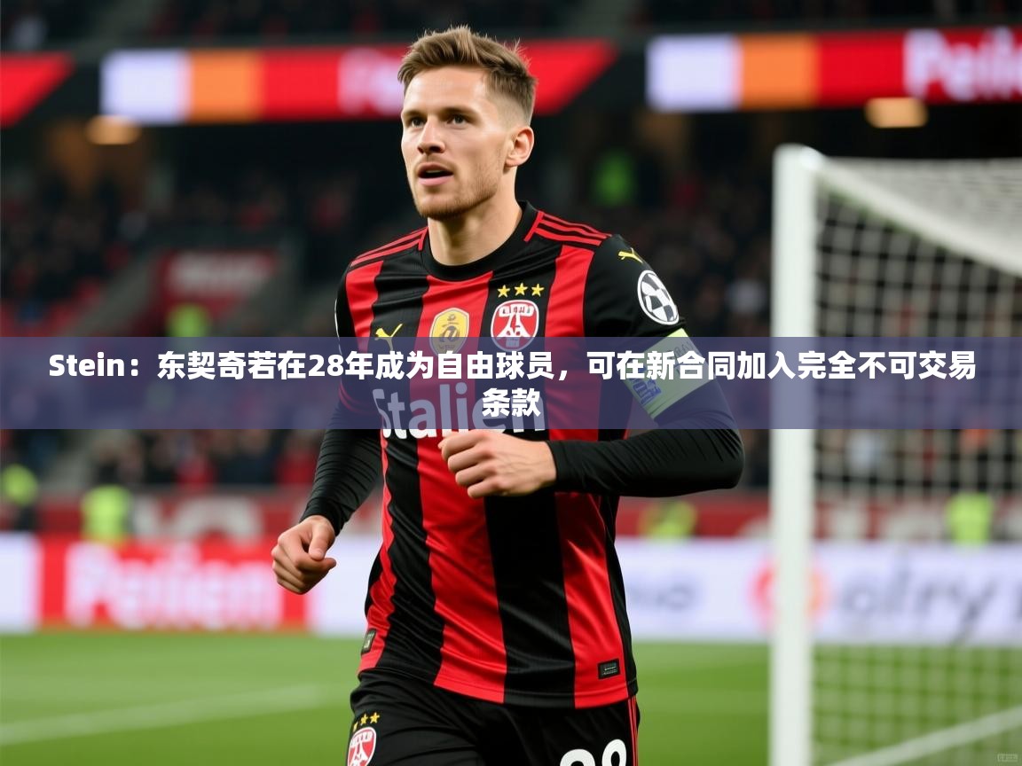 2025九游娱乐app赞助了不莱梅Stein:东契奇若在28年成为自由球员,可在新合同加入完全不可交易条款 第2张