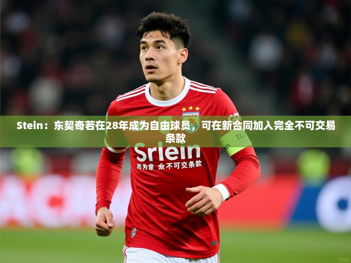 2025九游娱乐app赞助了不莱梅Stein:东契奇若在28年成为自由球员,可在新合同加入完全不可交易条款 第4张