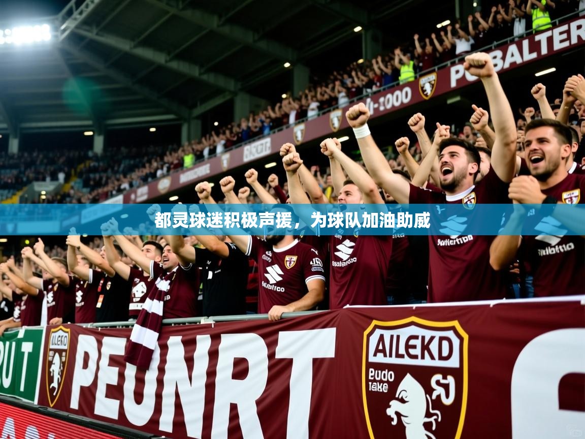 2026九游娱乐(中国)官方网站都灵球迷积极声援，为球队加油助威  第4张