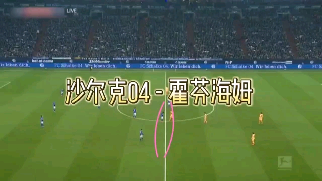 沙尔克主场告负，霍芬海姆捅破窗户纸